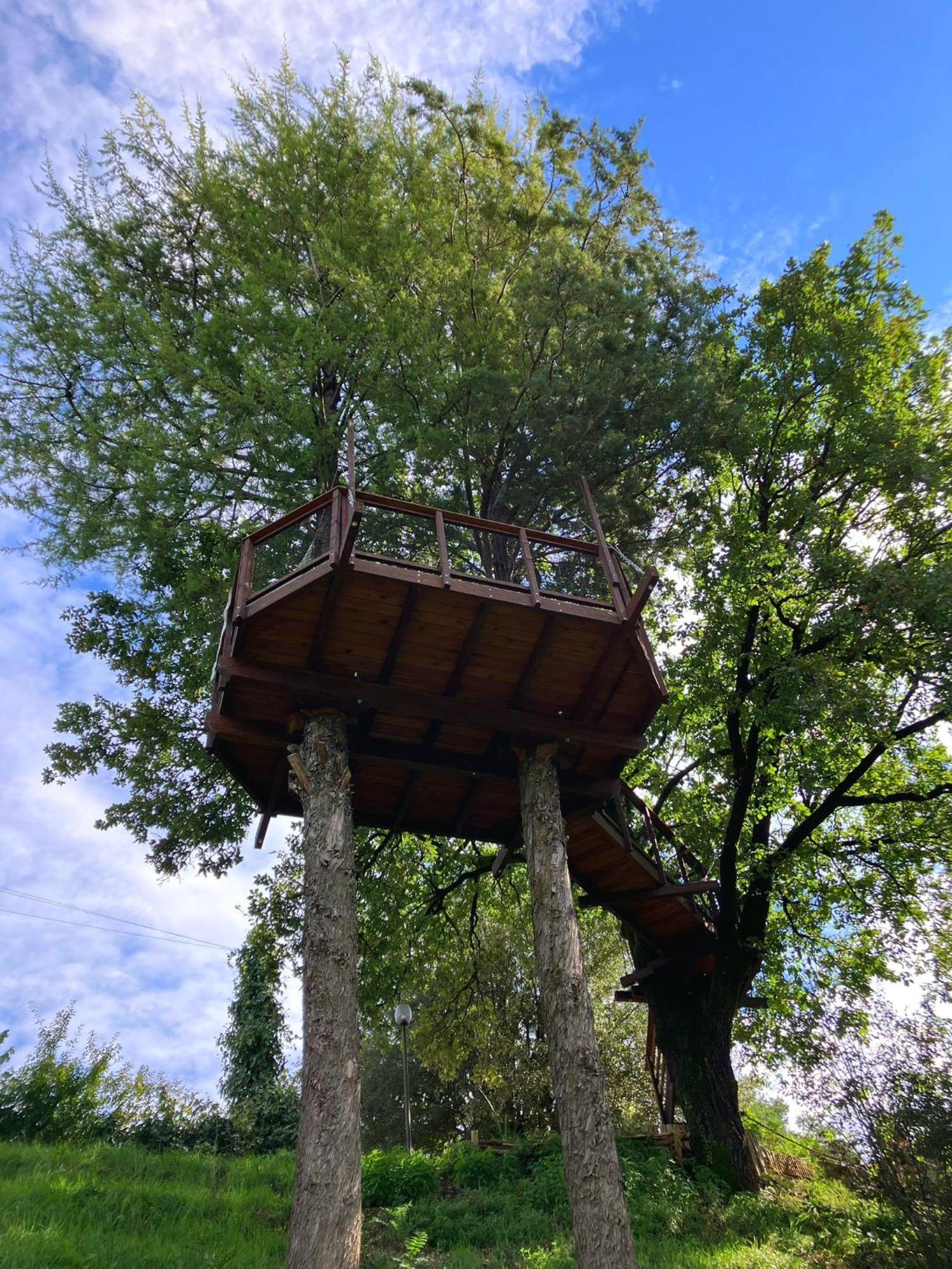 B&B Colle Di Terria Country House Contigliano Bagian luar foto