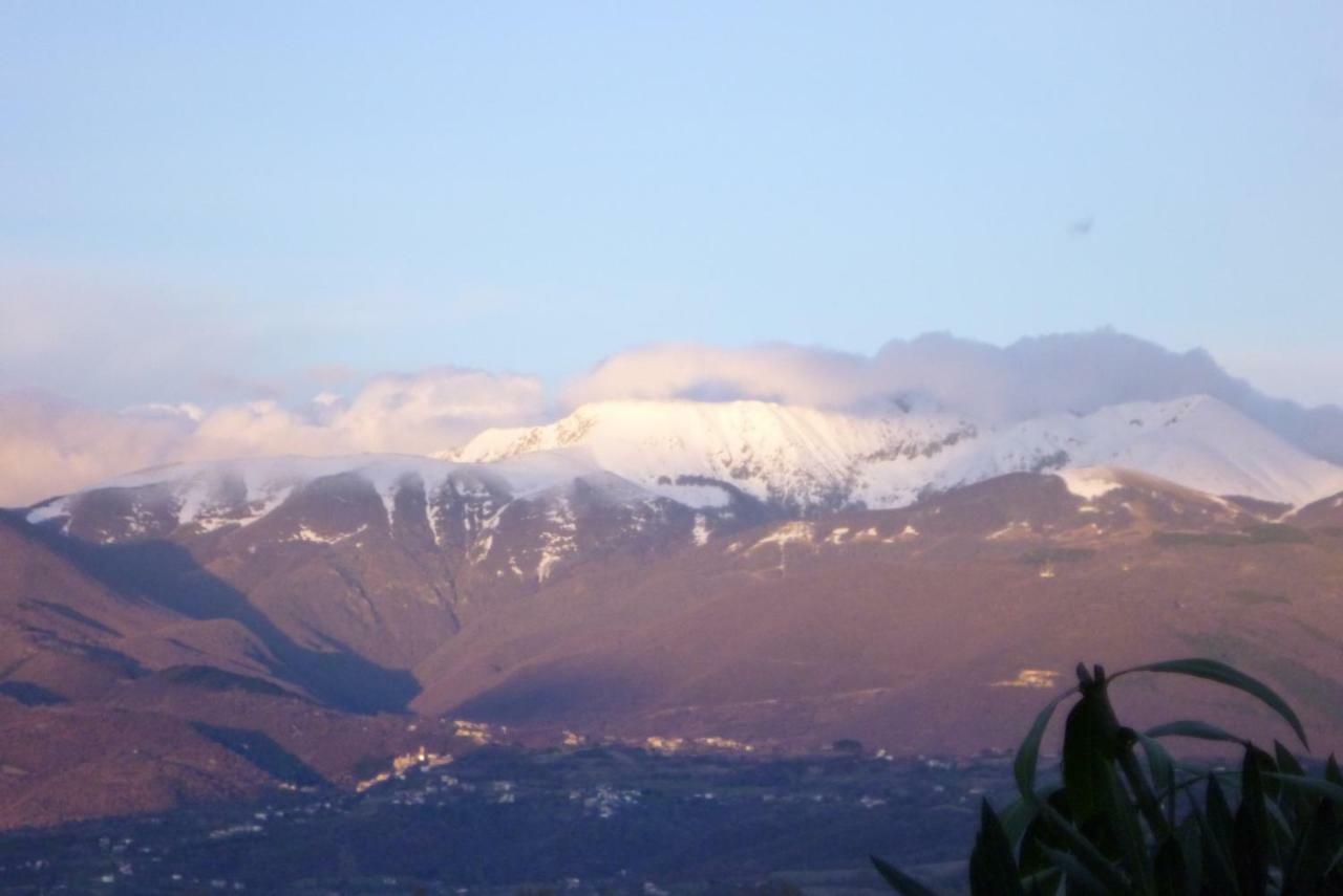 B&B Colle Di Terria Country House Contigliano Bagian luar foto