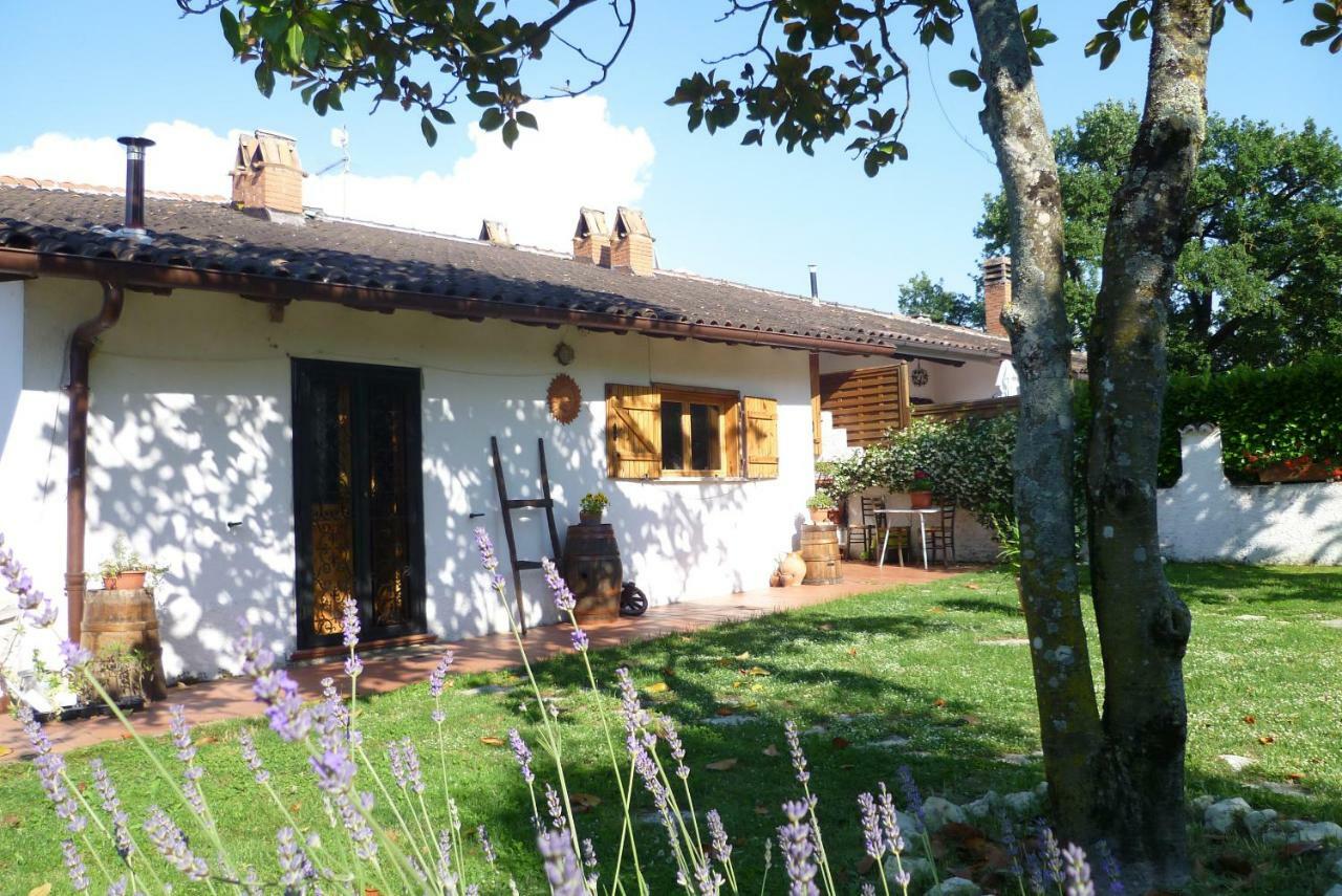 B&B Colle Di Terria Country House Contigliano Bagian luar foto